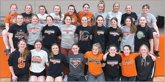 Tigers boast more experience