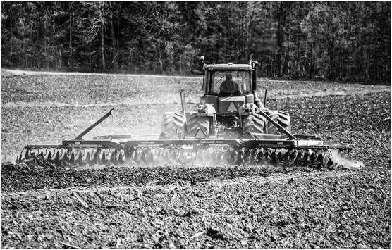 Farmers will chase high prices Farmers will chase high prices
