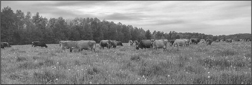 ABBY BREAKFAST HOST FARM A FAMILY AFFAIR ABBY BREAKFAST HOST FARM A FAMILY AFFAIR