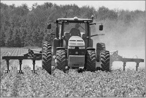 EPPIC displays new crop interseeding technology EPPIC displays new crop interseeding technology
