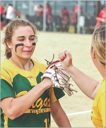 Softball state recognition