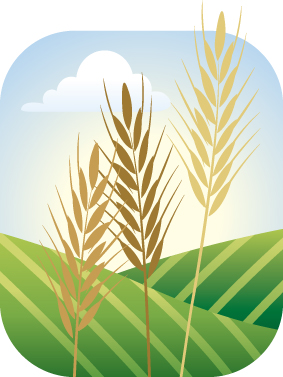 Producers reminded to file crop acreage reports