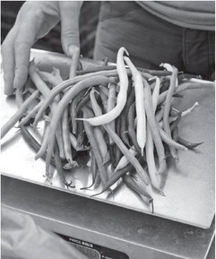 Beans in abundance at farmer’s market