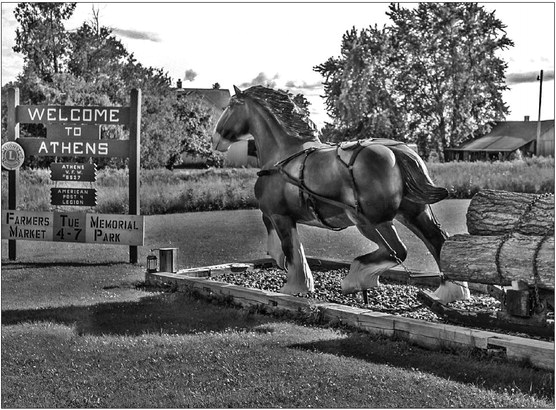 Horse greets Athens visitors