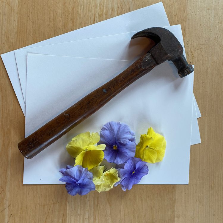 Create works of art with flowers