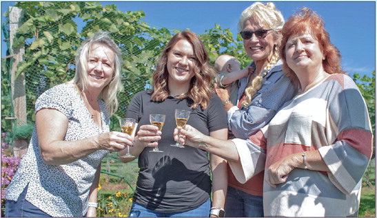 An afternoon in the vineyard