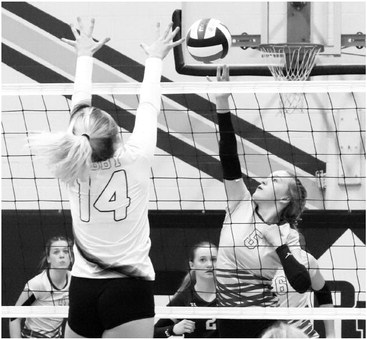 Falcons soar over Lady Redmen