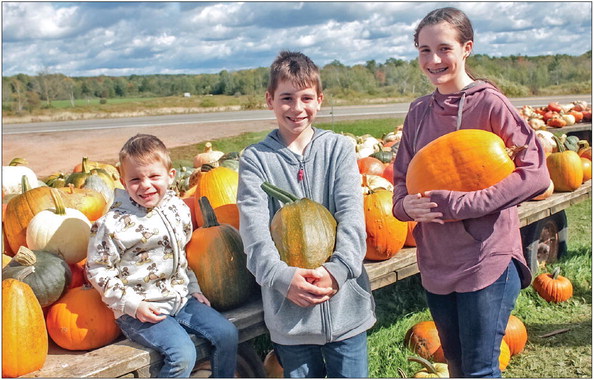 Milan plant to close