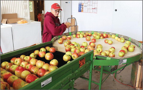 Deer Apple Bag 1/2 bushel