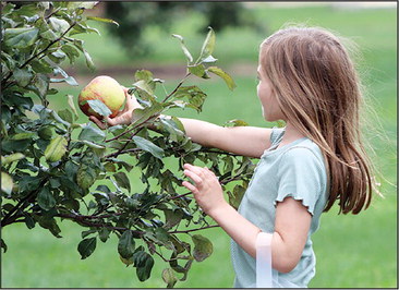“We planted a few trees …. “We planted a few trees ….