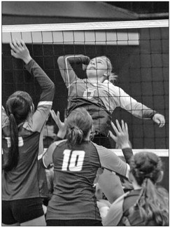 Hornets defeat Greenwood, Whitehall Hornets defeat Greenwood, Whitehall
