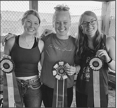 Local riders fare well at State 4-H Horse Expo in West Allis