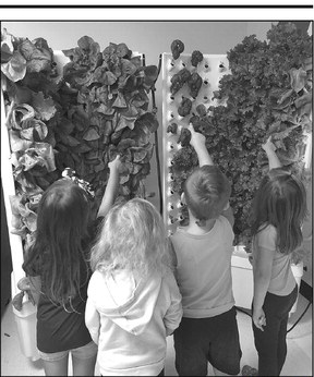 Children learn to grow healthy food  with hydroponic garden set-up