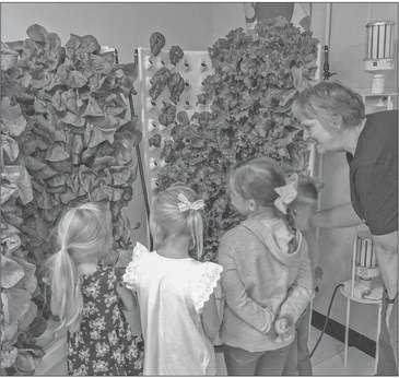 Zion Lutheran finds new way to grow vegetables Zion Lutheran finds new way to grow vegetables