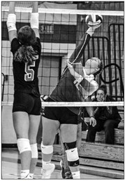 Hornets snap three match skid Hornets snap three match skid