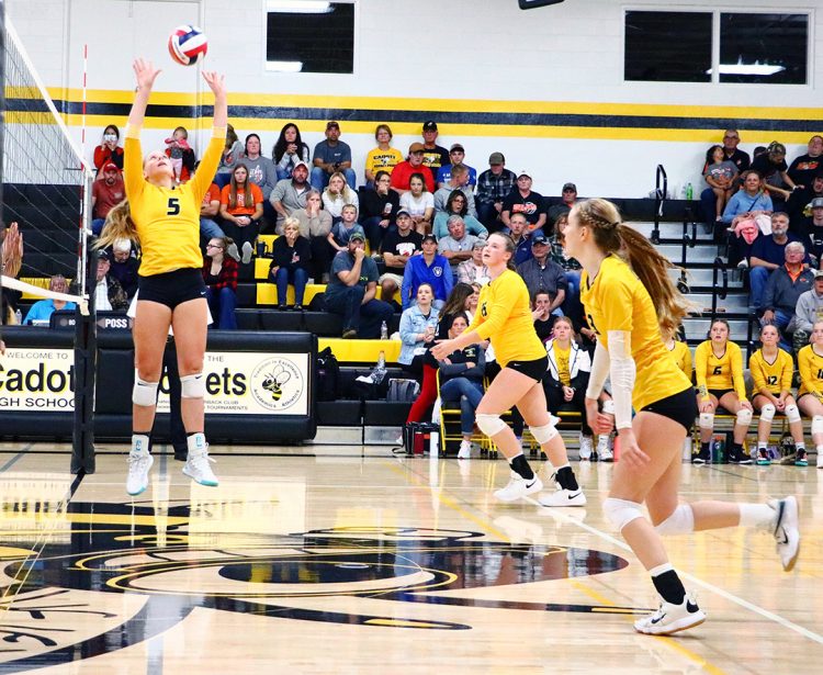 Hornets battle opponents to end week with victories Hornets battle opponents to end week with victories