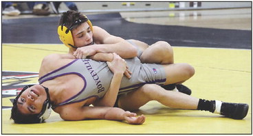 Hornets going strong, have work to do on season