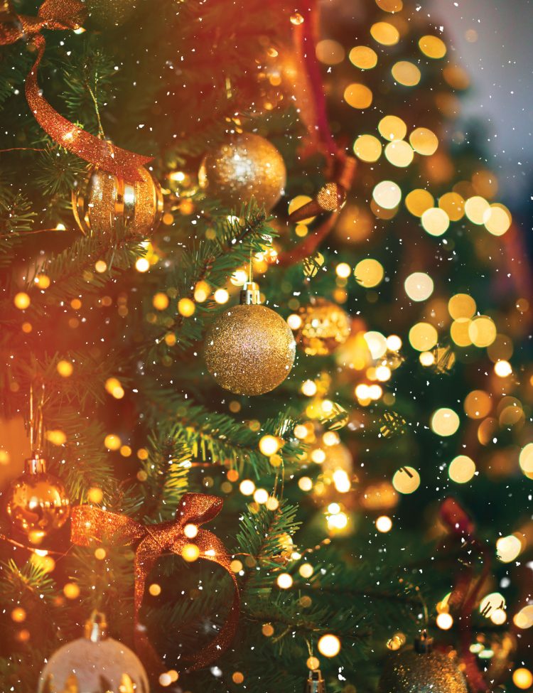 Furry friends love holiday decorations, to their detriment Furry friends love holiday decorations, to their detriment