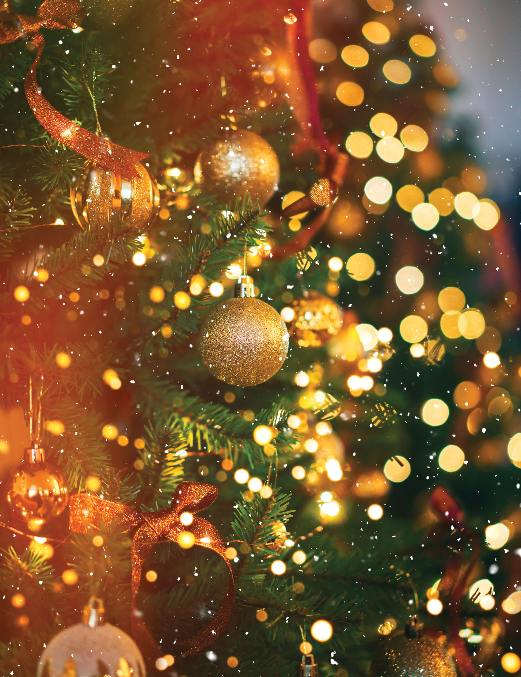 Furry friends love holiday decorations, to their detriment