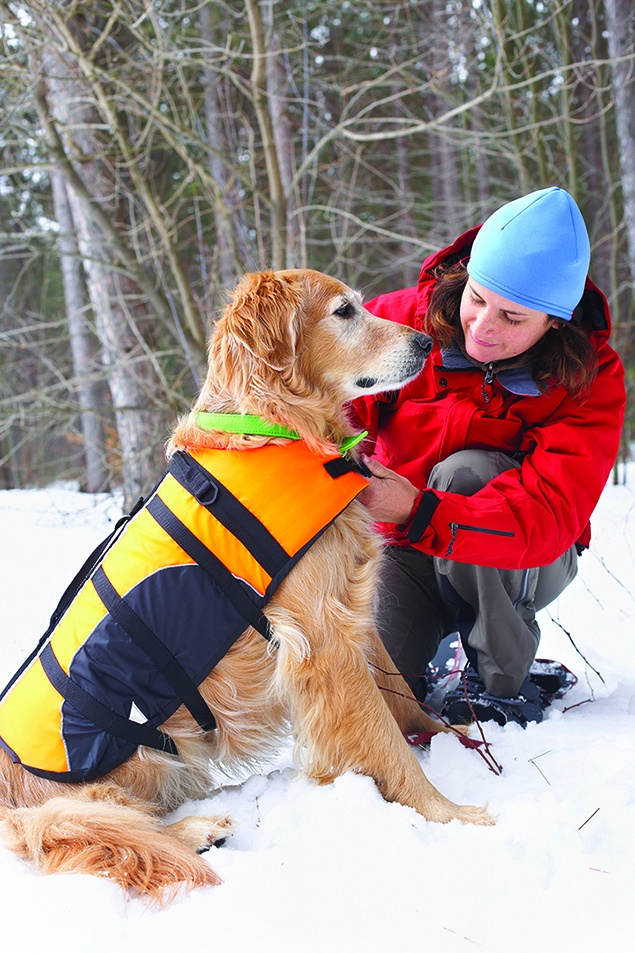 Things to think of before a cold weather dog walk
