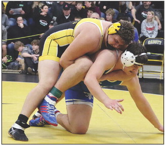 Hornets pushing the pace as season rolls on