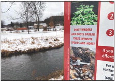 Protect our streams from aquatic invasive species