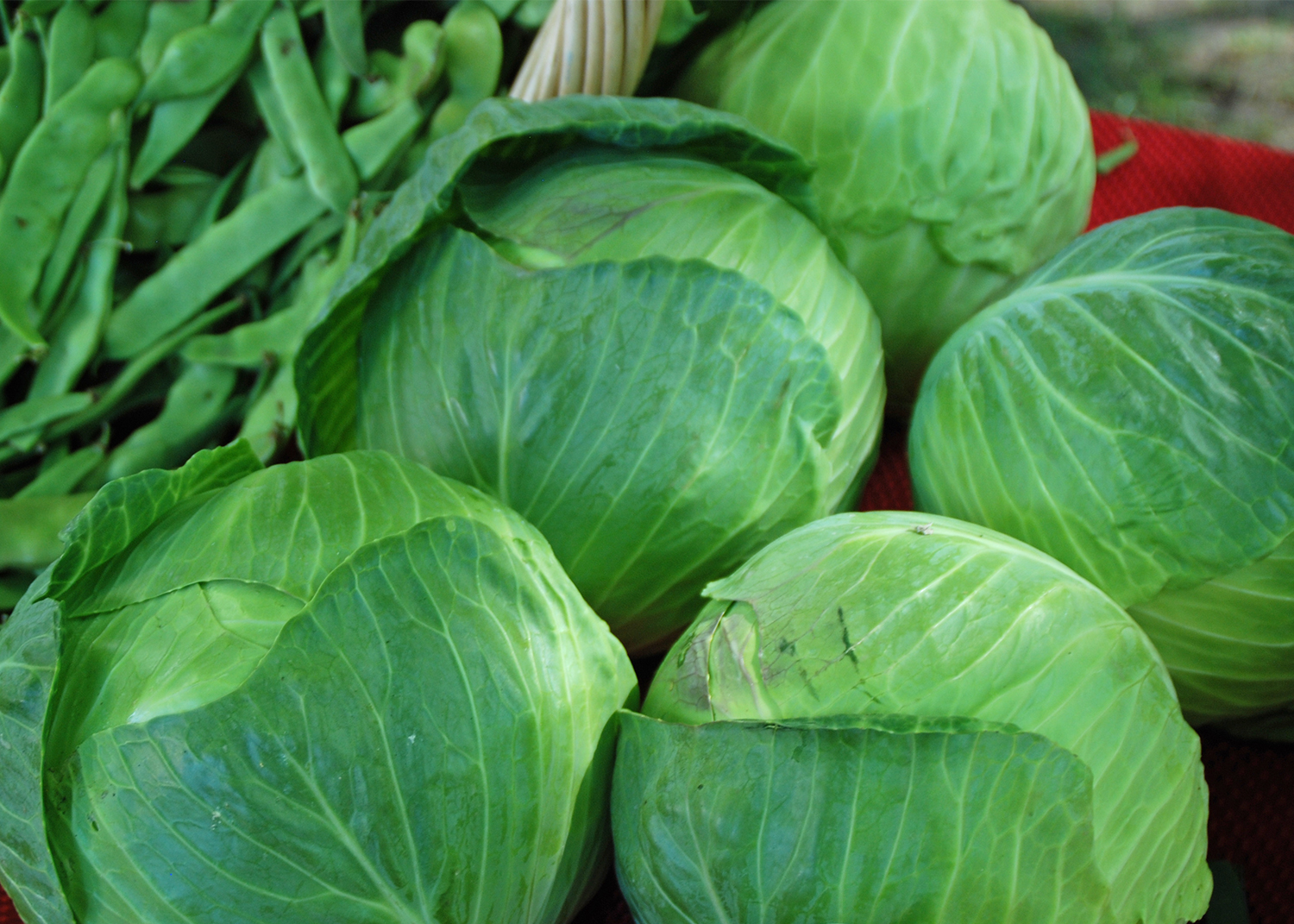 Ring in the New Year with Fruits and Vegetables