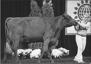 Loyal FFA will receive Chapter Degrees