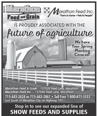 starnews_20230223_tsn-2023-02-23-c-013_art_3.xml