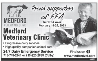 starnews_20230223_tsn-2023-02-23-c-013_art_2.xml