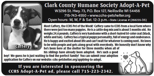 recordgleaner_20230222_trg-2023-02-22-a-006_art_3.xml