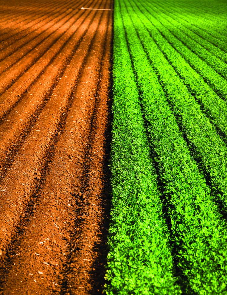 Updates are required for all nutrient management plans