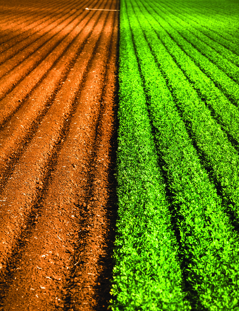 Updates are required for all nutrient management plans