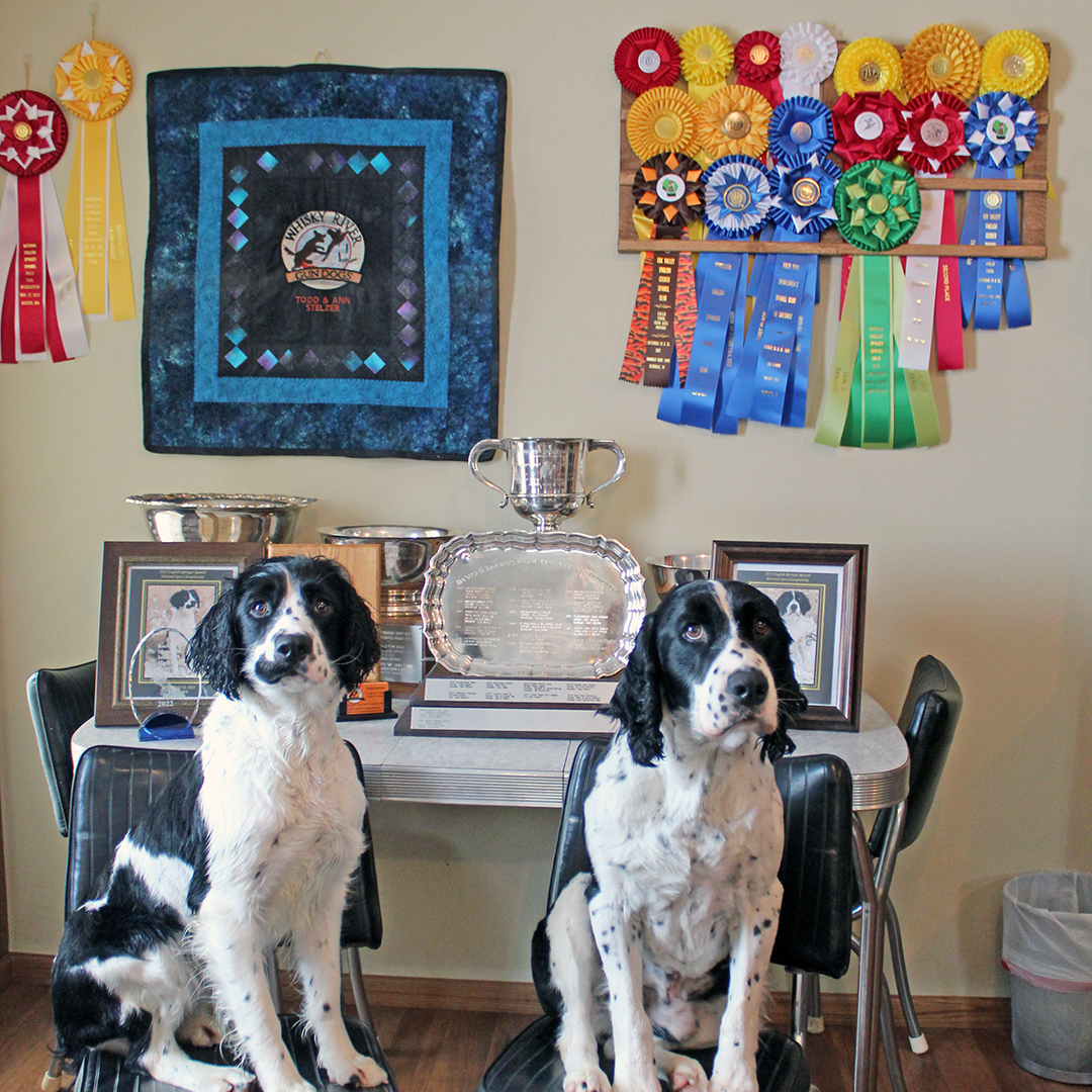 Whisky River Gun Dogs comes  off award-winning year