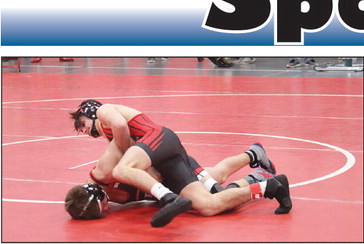 NGL advances 6 wrestlers to sectionals