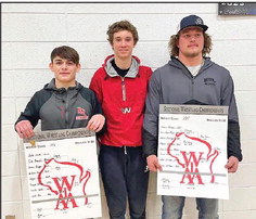 NGL advances  three wrestlers to state