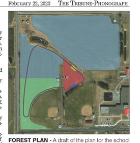 New Abby School Forest sparks excitement
