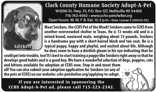 recordgleaner_20230329_trg-2023-03-29-0-010_art_3.xml