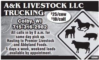 recordreview_20230308_trr-2023-03-08-0-010_art_4.xml