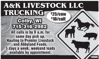 recordreview_20230329_trr-2023-03-29-0-003_art_4.xml