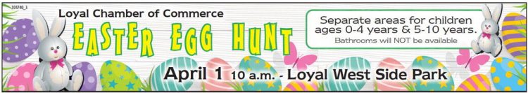 recordgleaner_20230329_trg-2023-03-29-0-013_art_3.xml