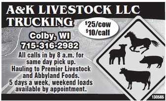 recordreview_20230301_trr-2023-03-01-0-002_art_5.xml