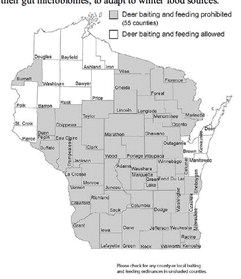 Feeding deer in wintertime causes harm to the animals