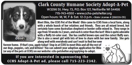 recordgleaner_20230322_trg-2023-03-22-0-010_art_2.xml