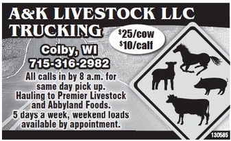 recordreview_20230322_trr-2023-03-22-0-012_art_4.xml