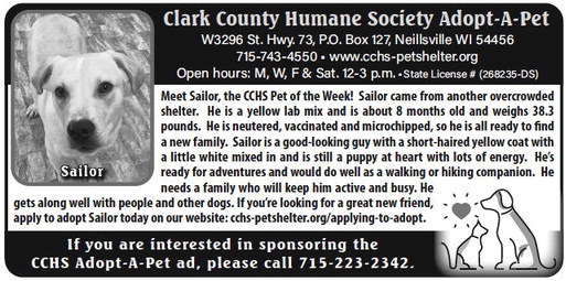 recordgleaner_20230301_trg-2023-03-01-0-008_art_5.xml