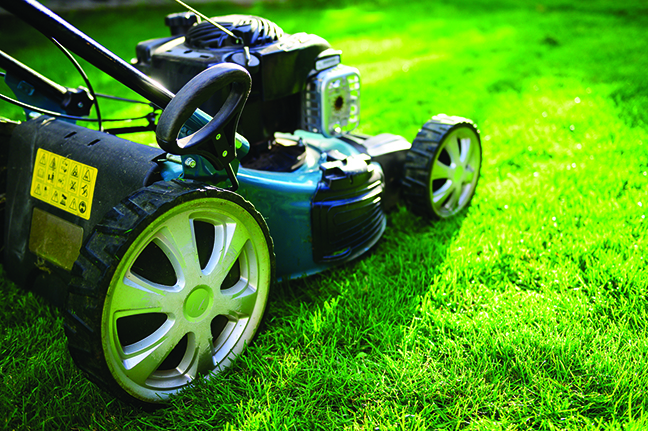 Know the workings of lawn machines inside and out