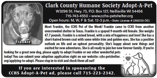 recordgleaner_20230531_trg-2023-05-31-0-022_art_4.xml