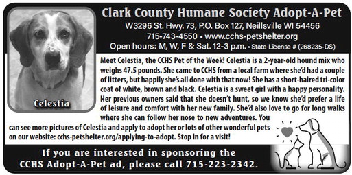 recordgleaner_20230503_trg-2023-05-03-0-008_art_3.xml