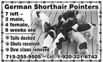 recordgleaner_20230524_trg-2023-05-24-0-011_art_3.xml